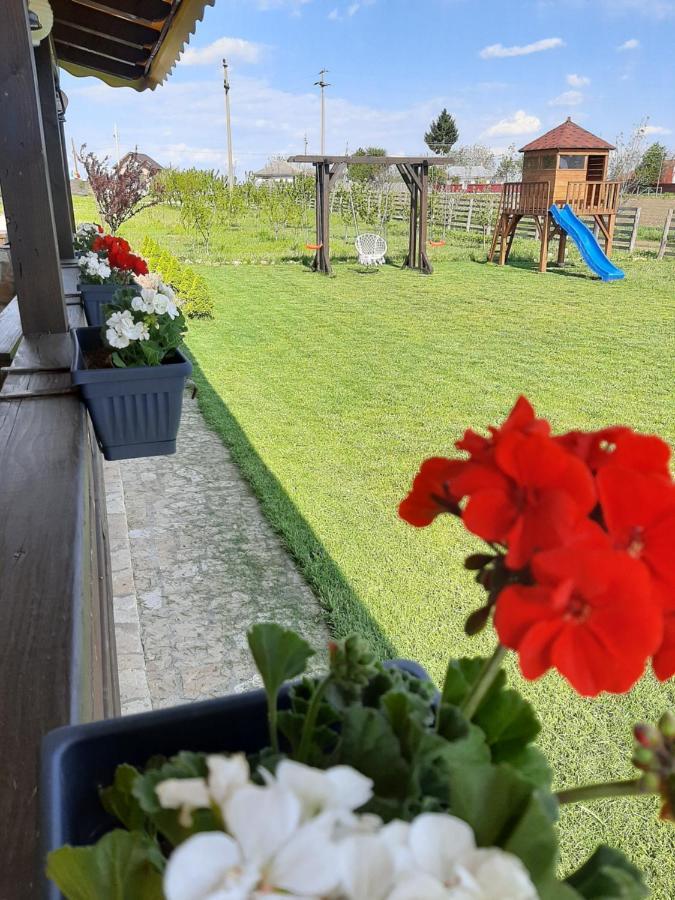 Отель Dor De Casa Doljesti Экстерьер фото